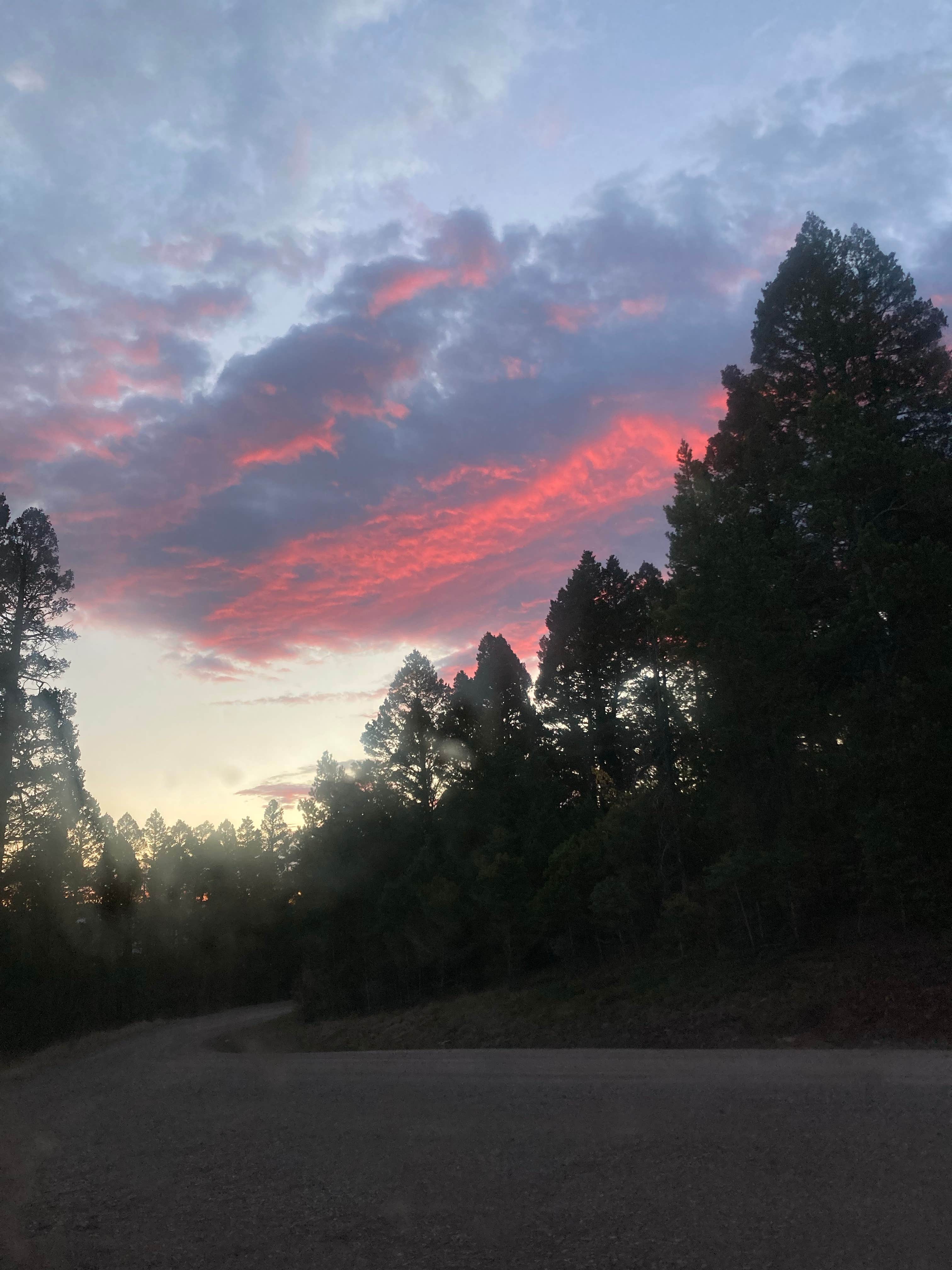 Camper-submitted photo at Elliston Dispersed Camping on Forest Road 314 near Canyon Ferry Lake