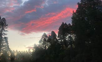Emma G.'s photo of a dispersed camping area at Elliston Dispersed Camping on Forest Road 314 near Canyon Creek, MT