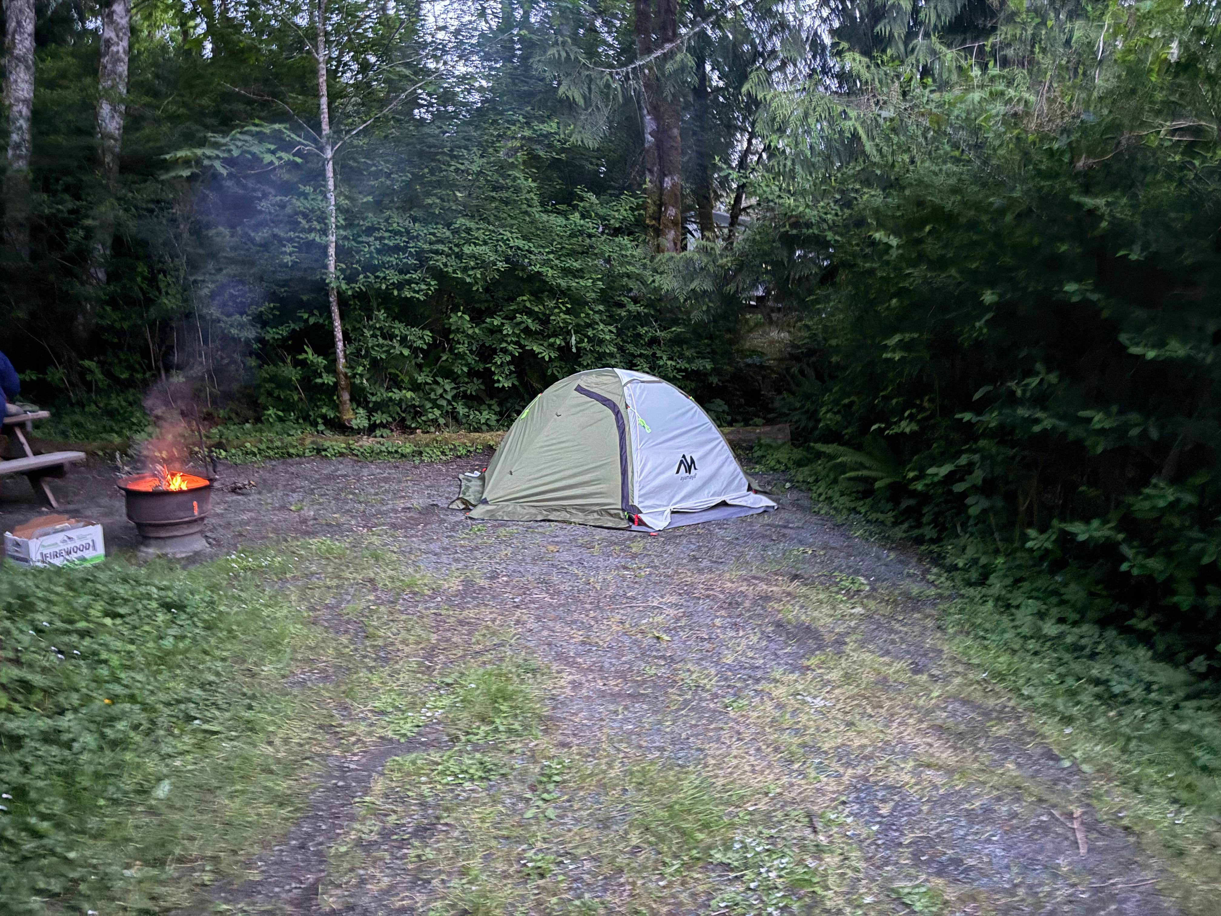 Taylor C.'s photo at Elwha Dam RV Park near Port Angeles, WA