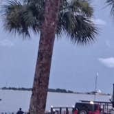 Review photo of Emerald Beach RV Park by Ashley A., July 20, 2026