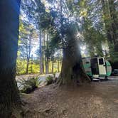 Review photo of Emerald Forest Cabins & RV by chris O., August 27, 2026