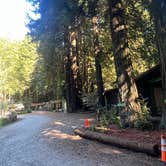 Review photo of Emerald Forest Cabins & RV by Brandon K., October 6, 2024