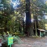 Review photo of Emerald Forest Cabins & RV by Brandon K., October 6, 2024