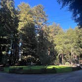 Review photo of Emerald Forest Cabins & RV by Brandon K., October 6, 2024