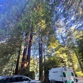 Review photo of Emerald Forest Cabins & RV by chris O., August 27, 2026
