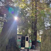 Review photo of Emerald Forest Cabins & RV by chris O., August 27, 2026