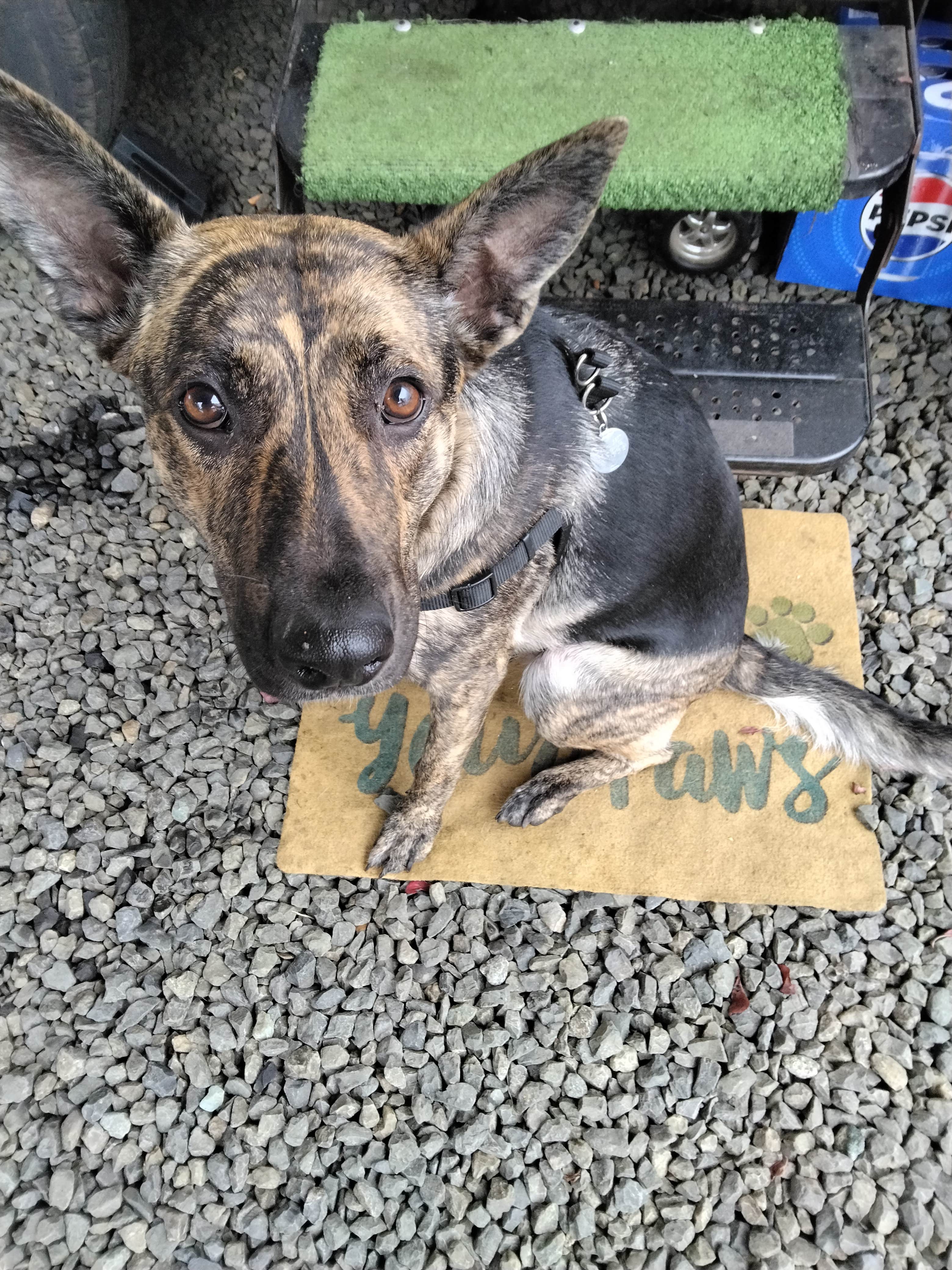 Camper-submitted photo at Emerald Valley RV Park near Adair Village, OR