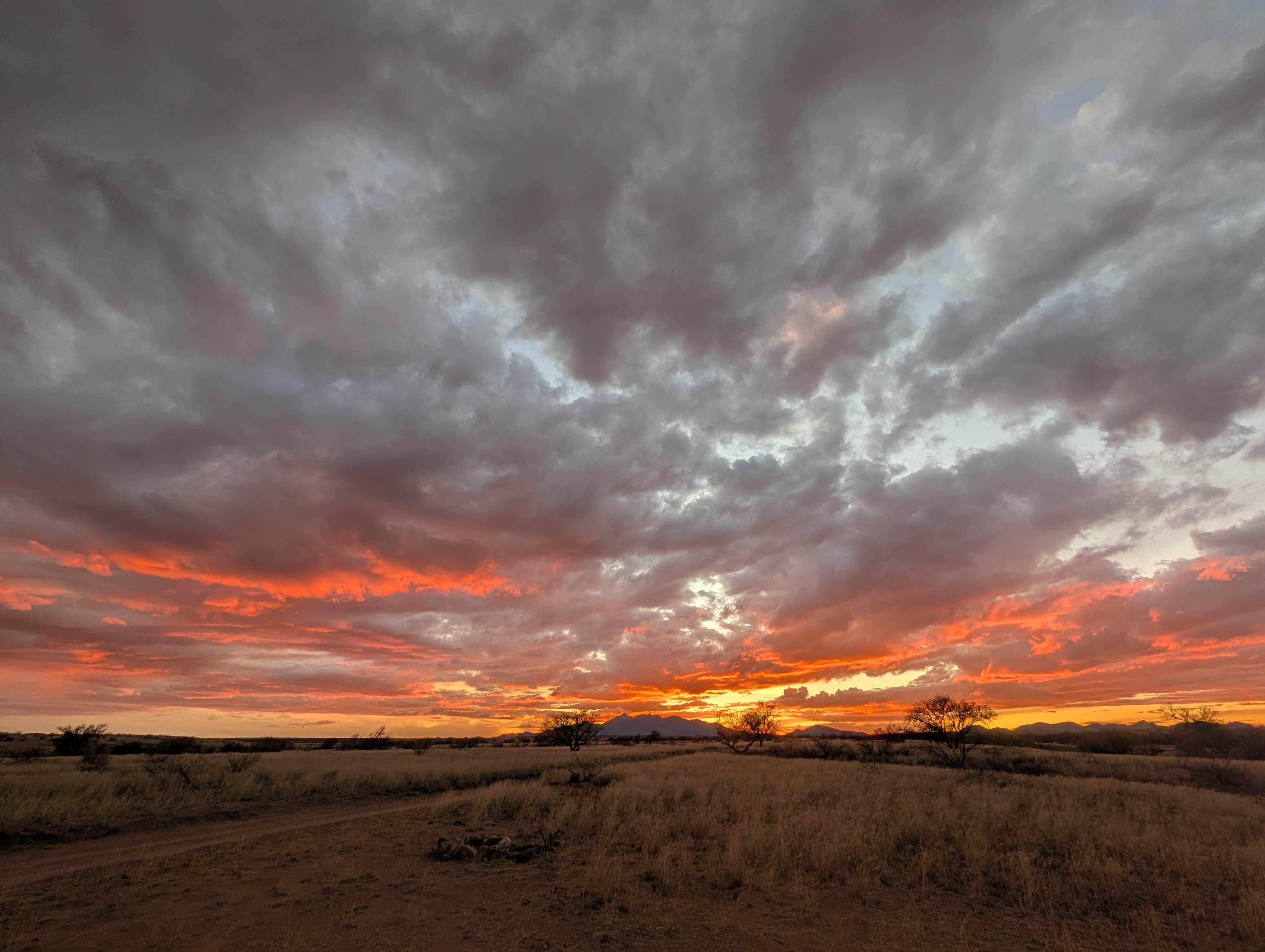 Camper-submitted photo at Empire Ranch near St. David, AZ