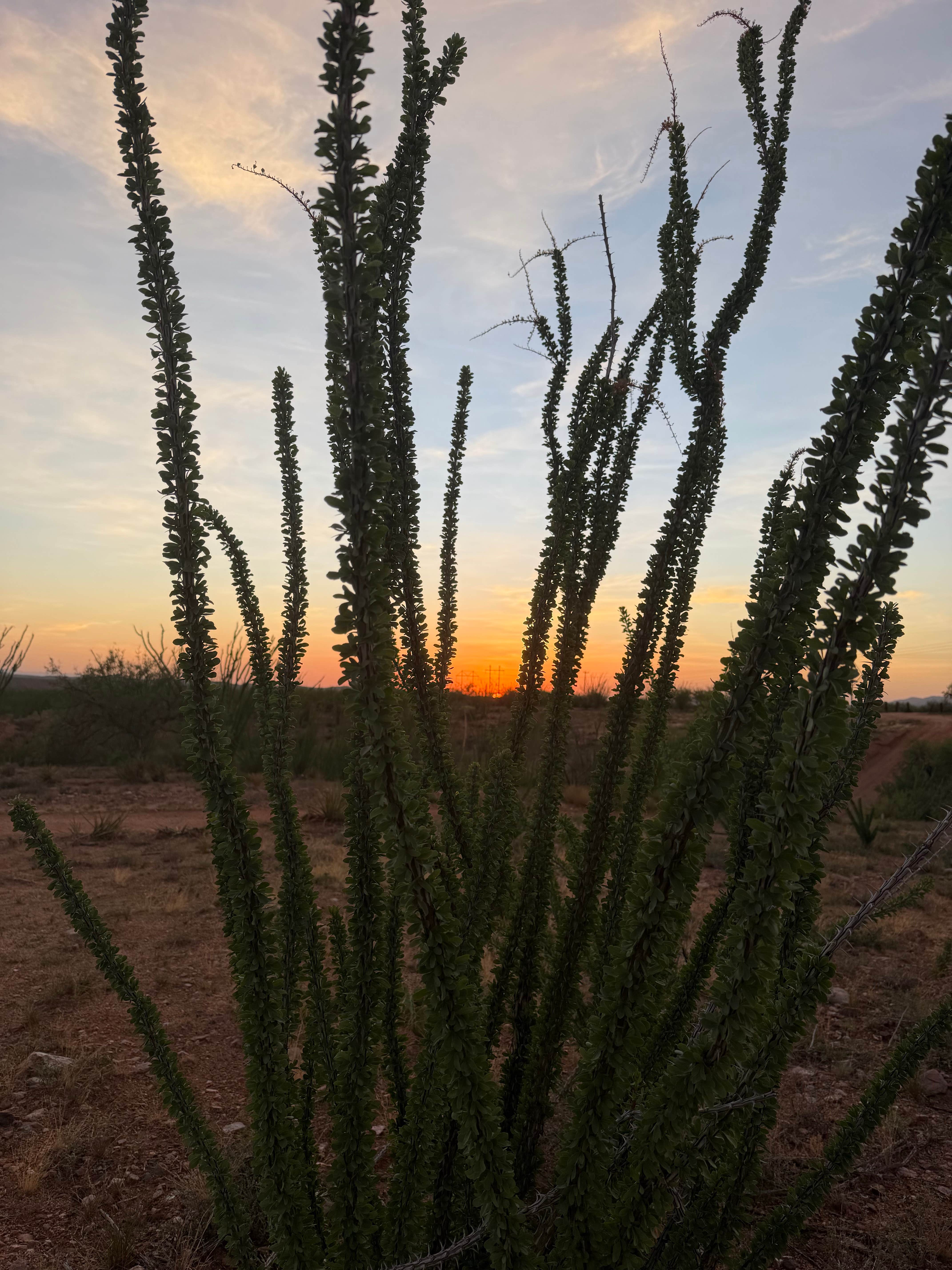 Camping near Reddington Pass Dispersed: Empirita Road Pull Offs, Vail, Arizona