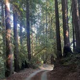 Review photo of Enchanted Forest Mountain Redwood Retreat by Monica M., July 9, 2024