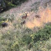 Review photo of Enchanted Forest Mountain Redwood Retreat by Monica M., July 9, 2024