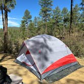 Review photo of Enchanted Forest Trail Campsites by Monte W., May 20, 2024