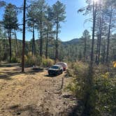 Review photo of Enchanted Forest Trail Campsites by Monte W., May 20, 2024