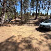 Review photo of Enchanted Forest Trail Campsites by kylie C., April 25, 2026
