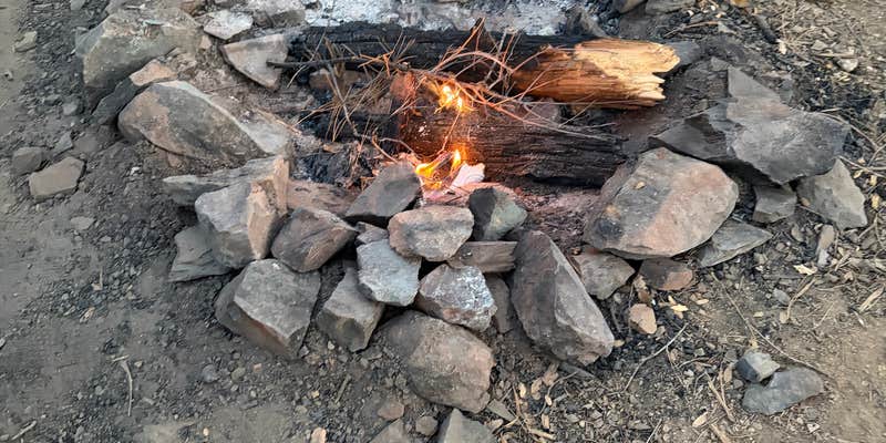 Camper submitted image from Enchanted Forest Trail Campsites