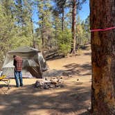 Review photo of Enchanted Forest Trail Campsites by kylie C., April 25, 2026