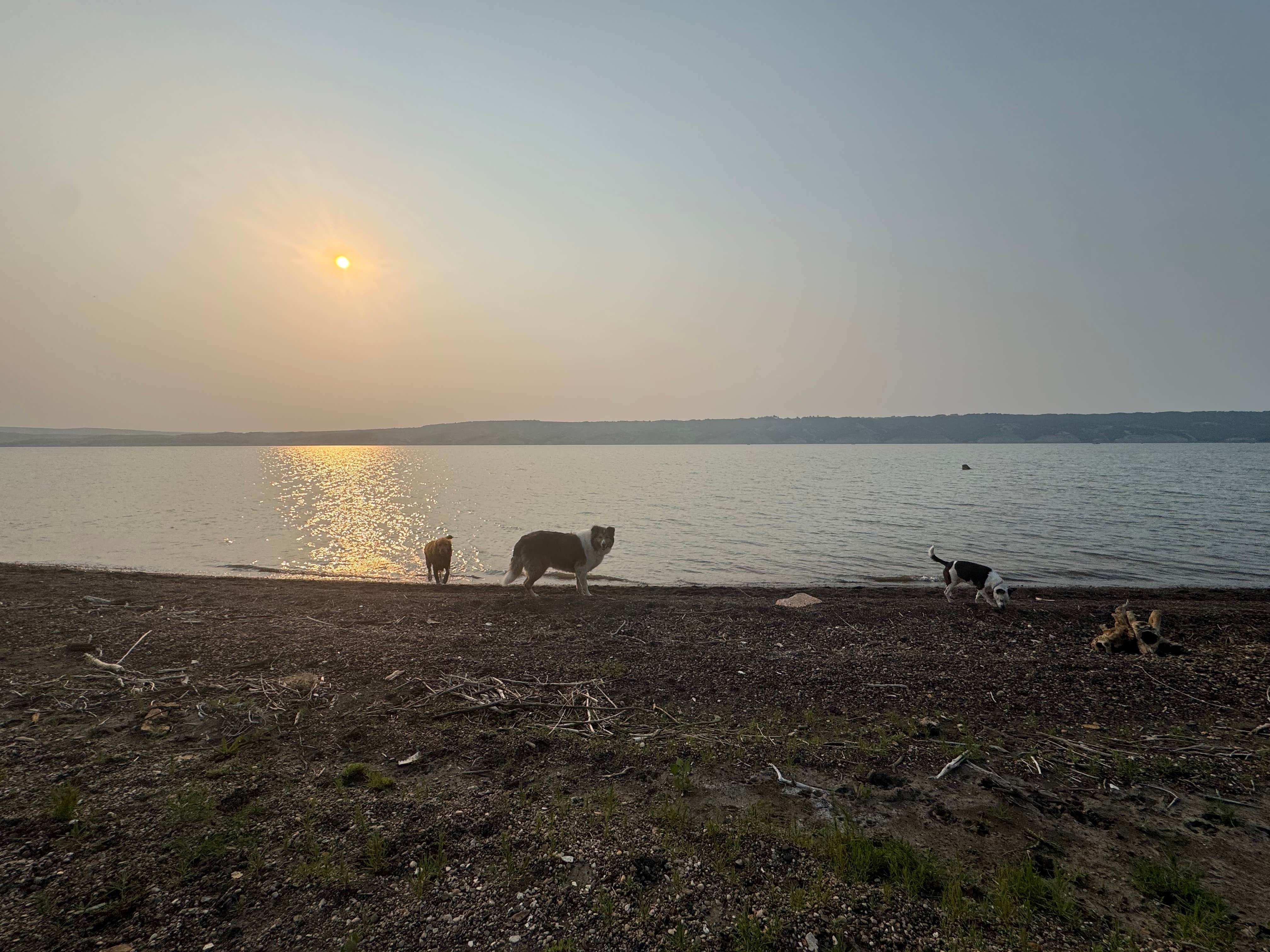 Camper submitted image from End Of Shoreline Dispersed - 2