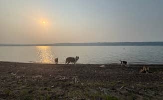 Laura W.'s photo of camping with pets at End Of Shoreline Dispersed near Platte, SD
