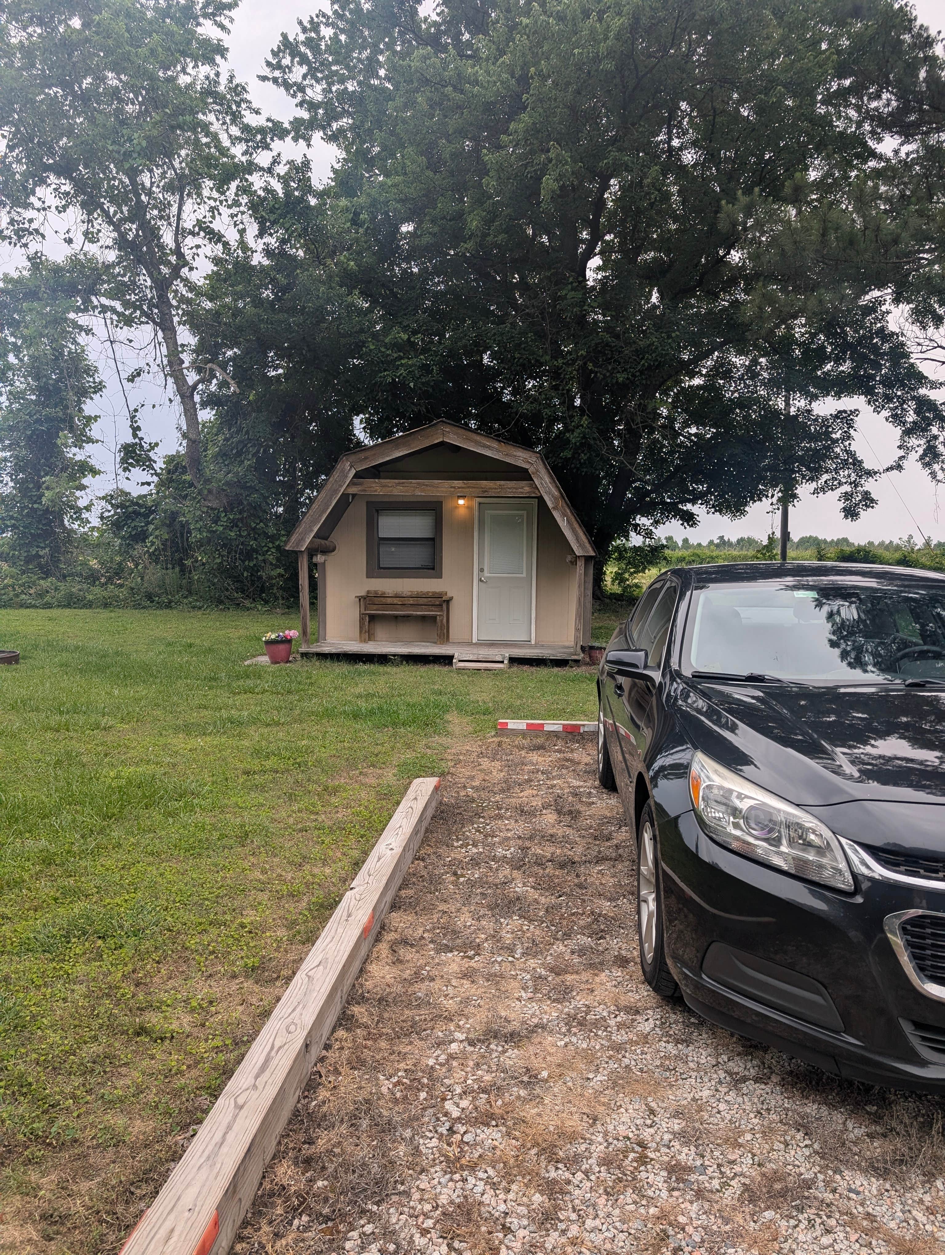 Camper-submitted photo at Enfield - Rocky Mount KOA near Hollister, NC