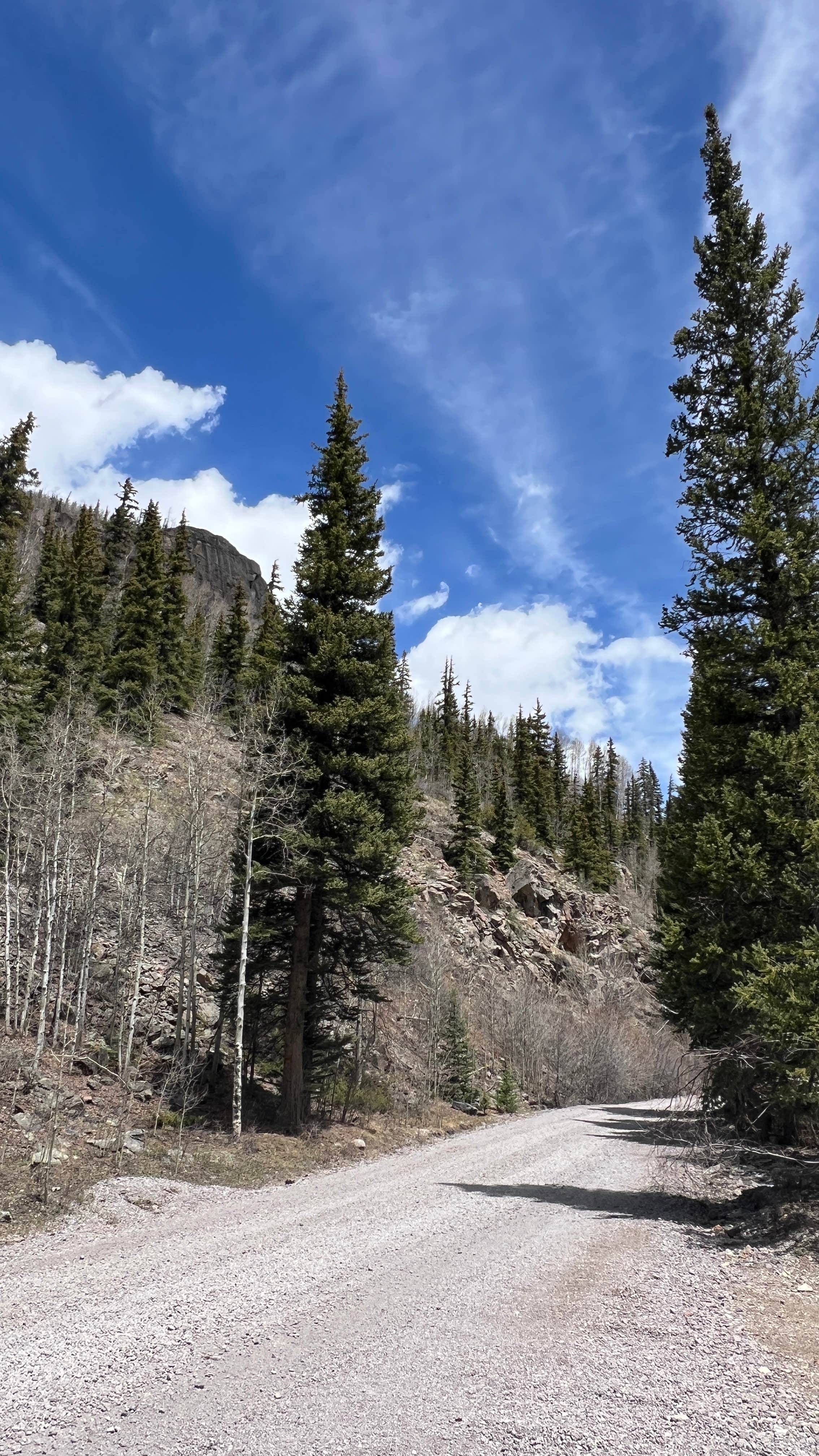 Camper-submitted photo at Engineer Pass Camp near Powderhorn, CO