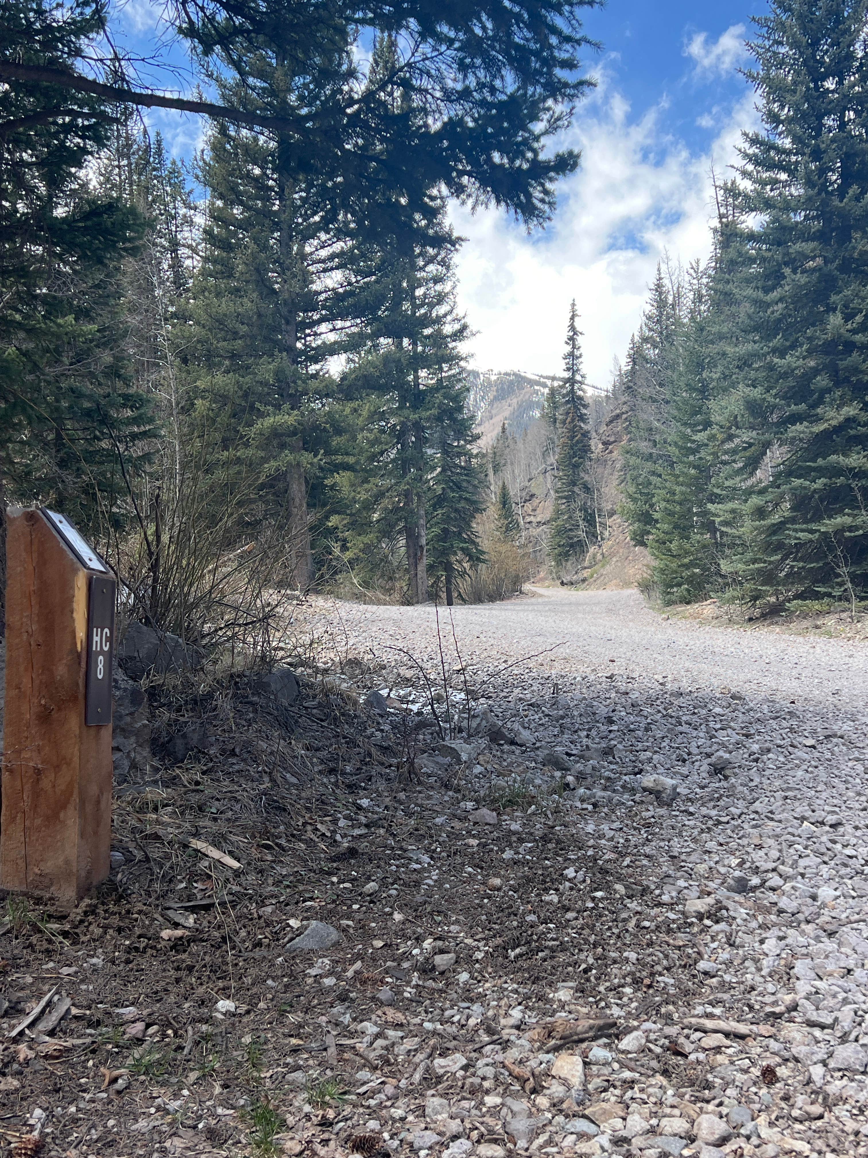 Camper-submitted photo at Engineer Pass Camp near Powderhorn, CO