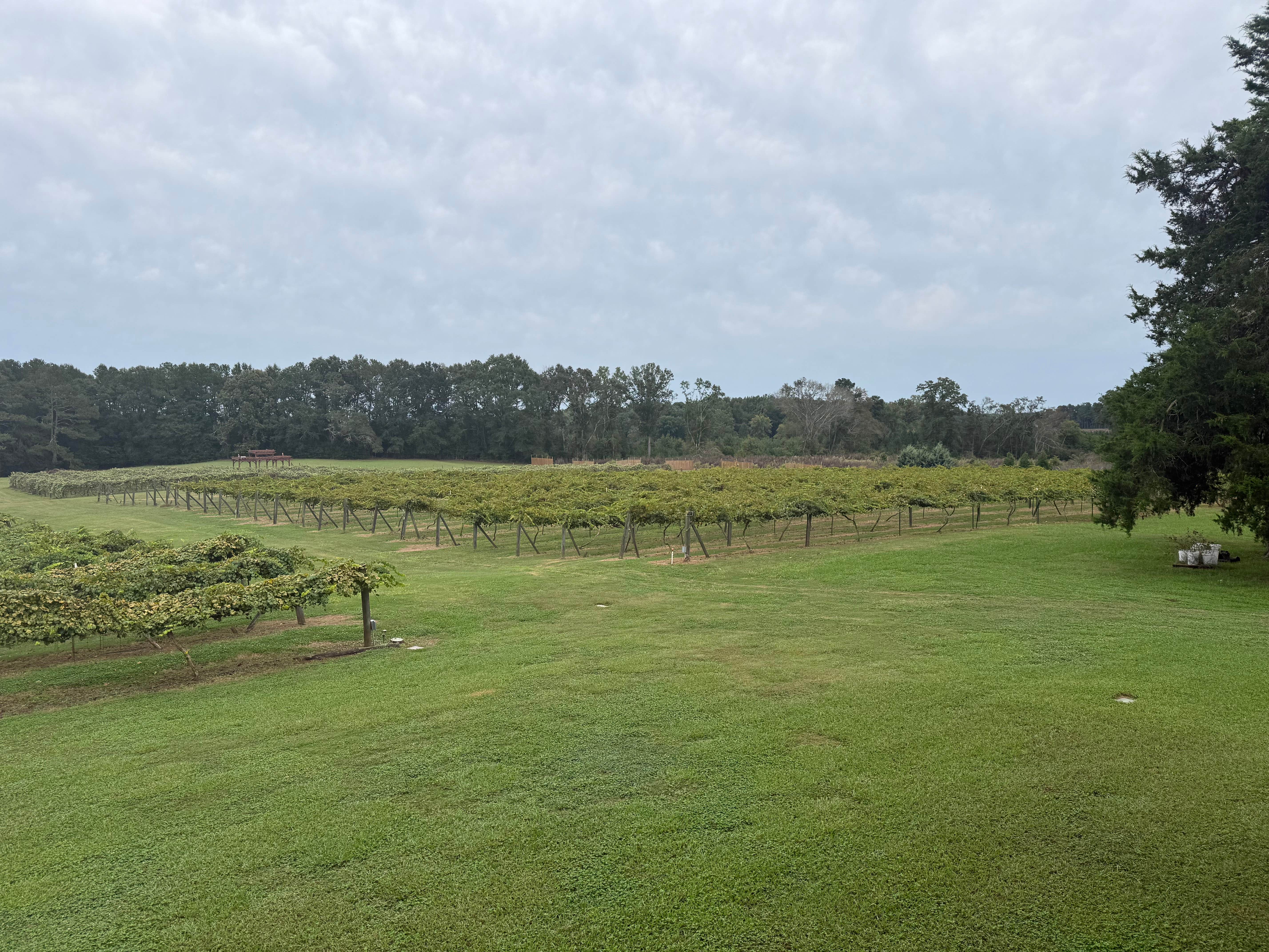 Camper-submitted photo at Enoree River Winery near Simpsonville, SC