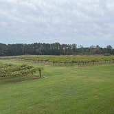 Review photo of Enoree River Winery by Paul S., October 9, 2026