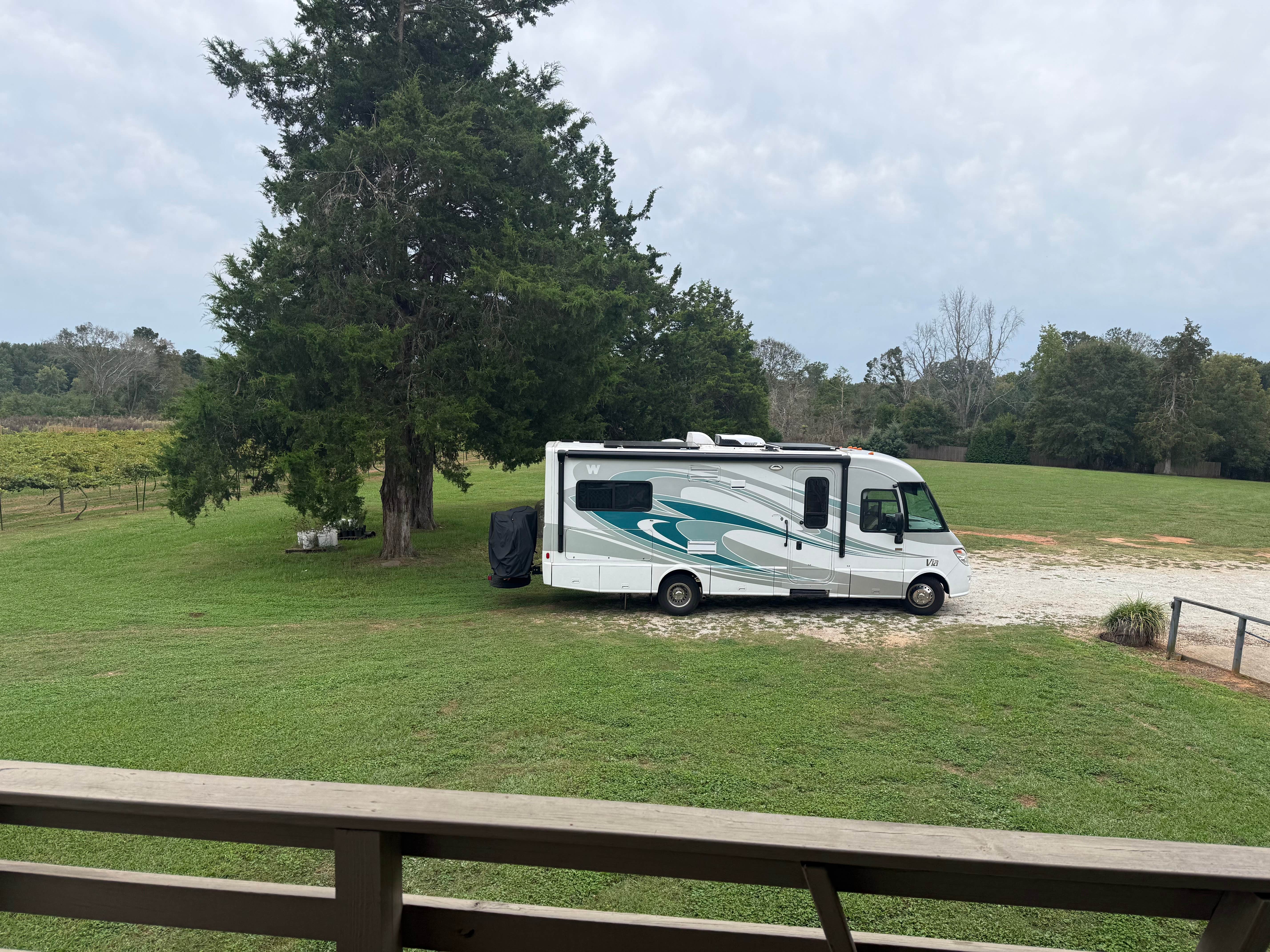 Camper-submitted photo at Enoree River Winery near Simpsonville, SC
