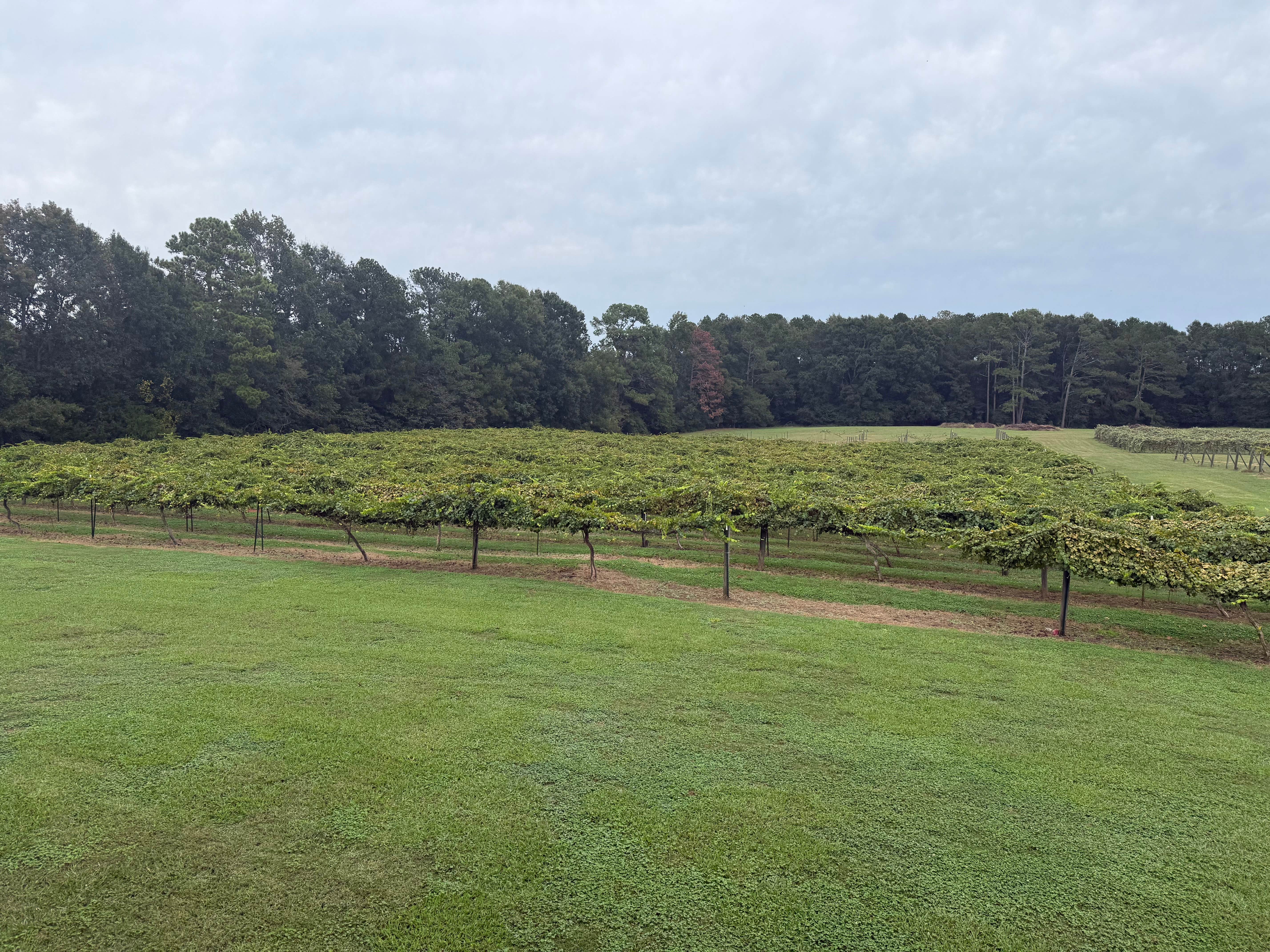 Enoree River Winery
