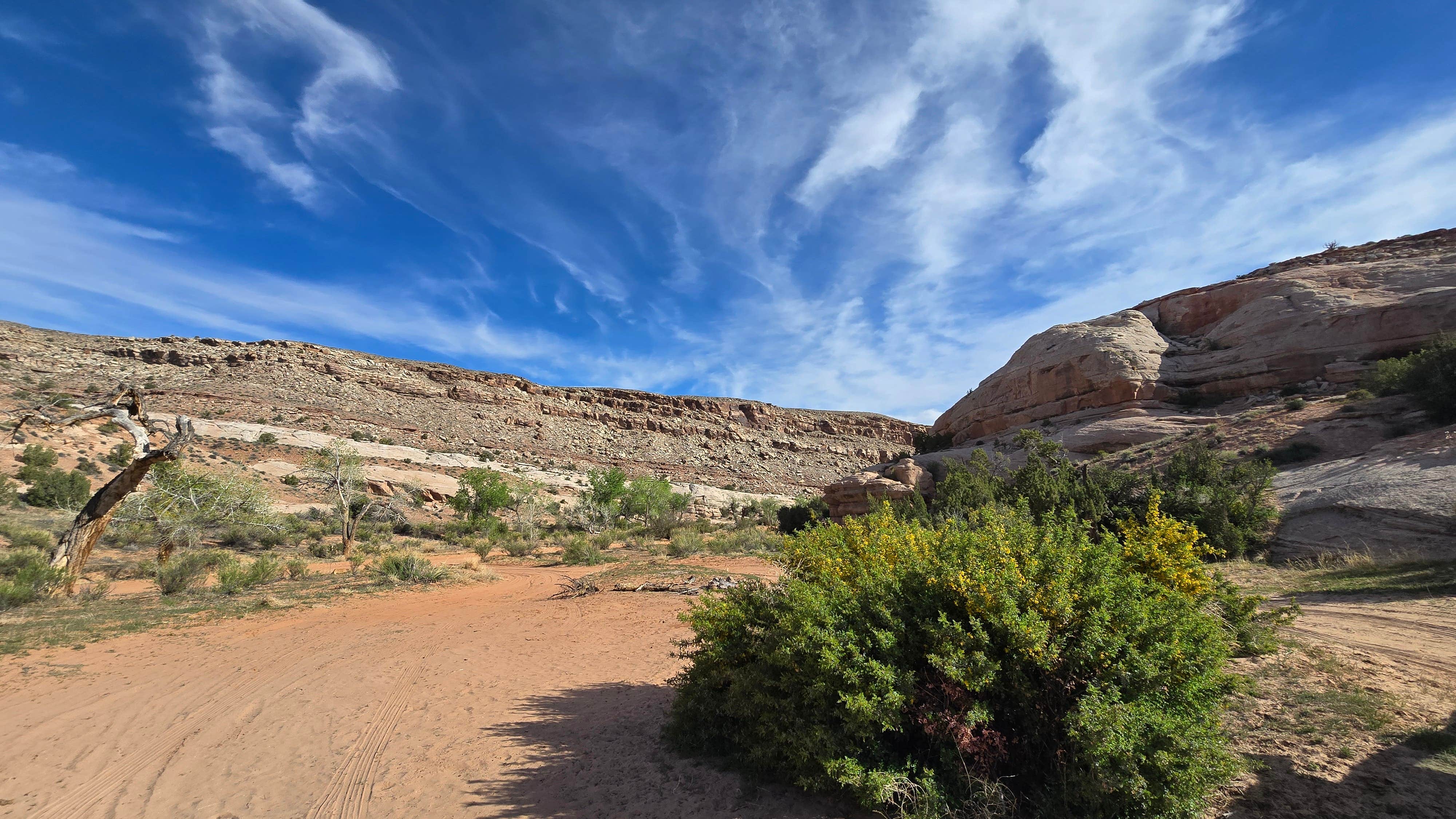 Camper submitted image from Entrada Bluffs - 3