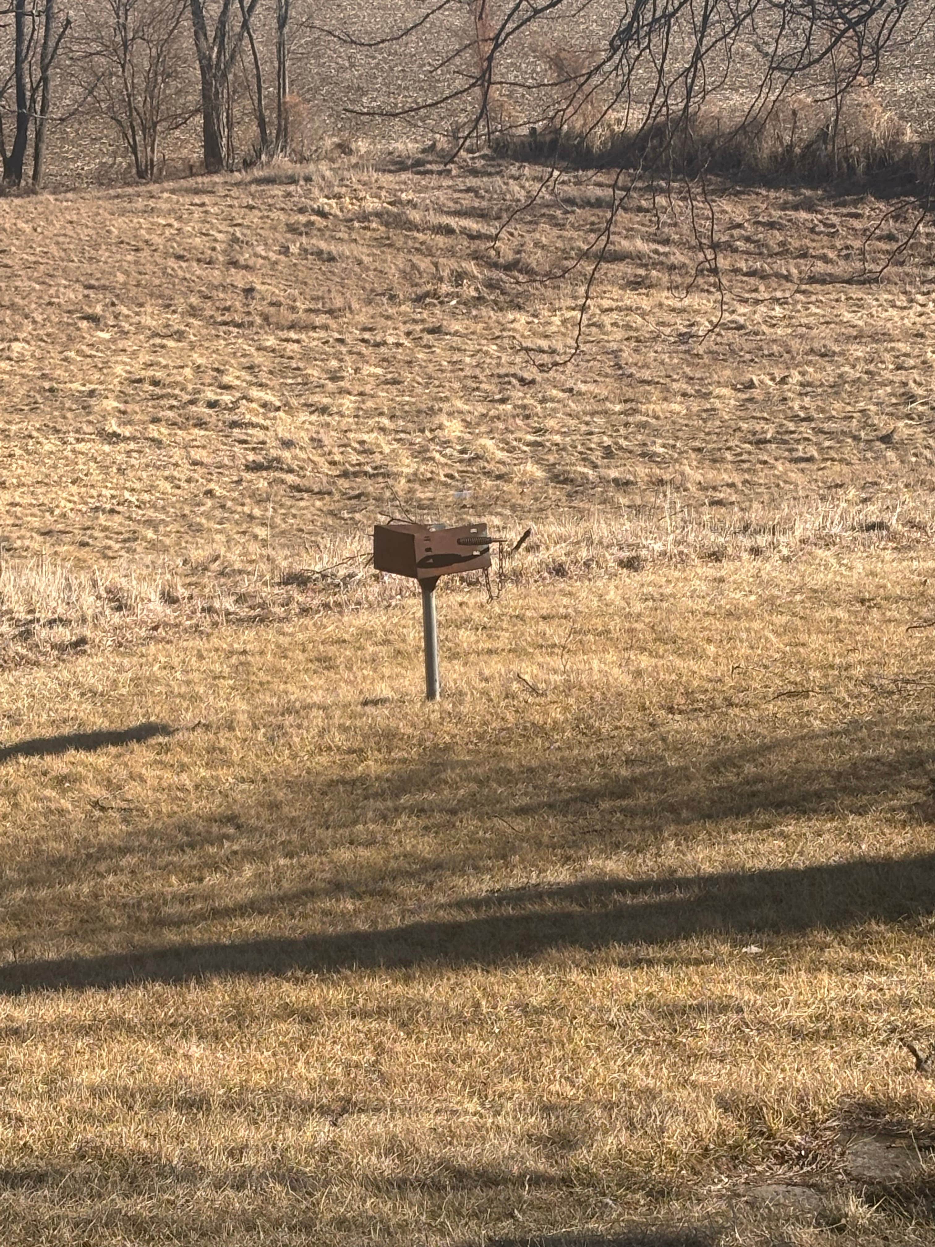 Camper-submitted photo at Scott County Park- South East Corner Campground near Wyoming, IA