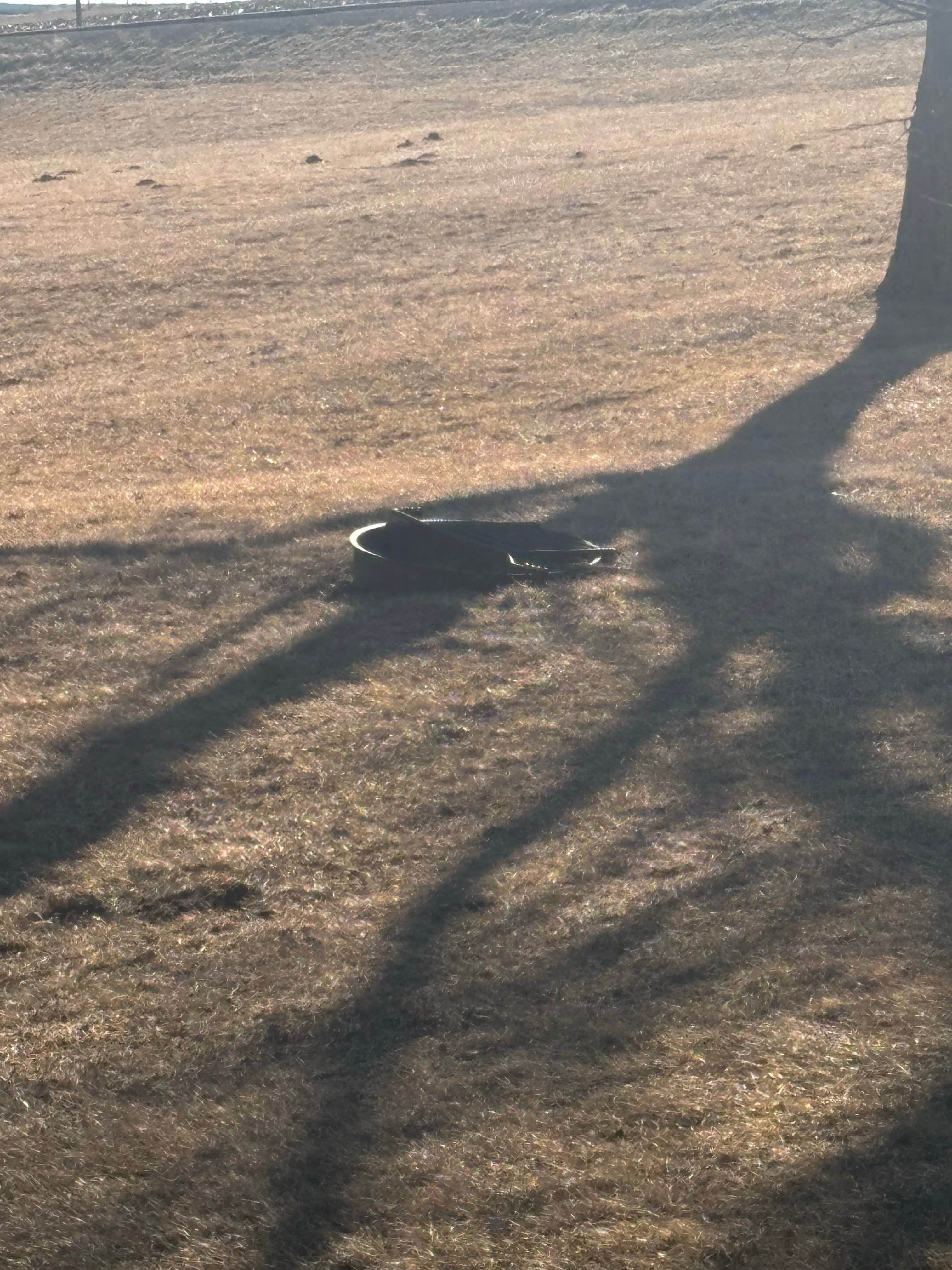 Camper-submitted photo at Scott County Park- South East Corner Campground near Wyoming, IA
