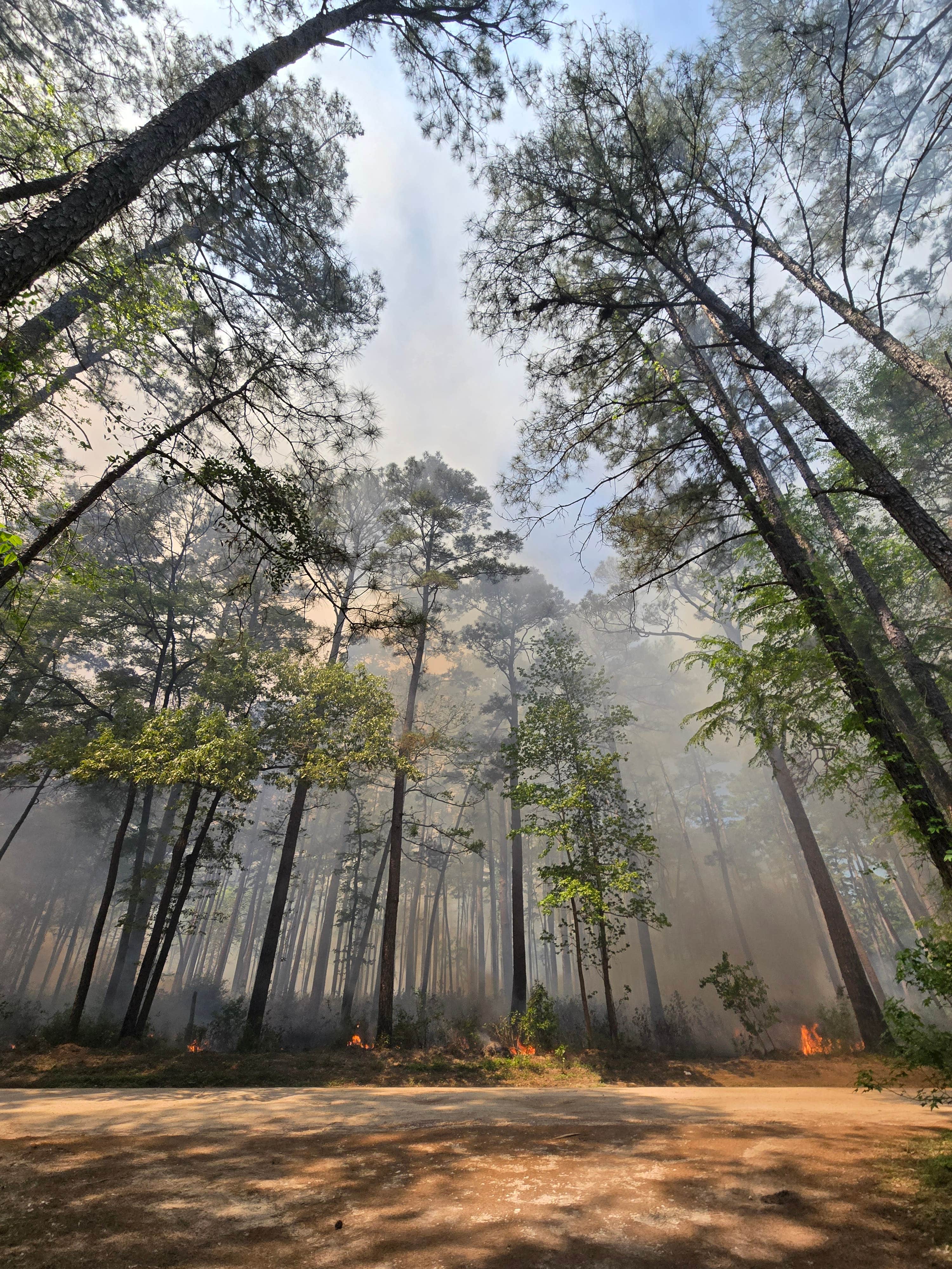 Camping near East Side Trail Head: Equestrian Parking Dispersed, New Waverly, Texas