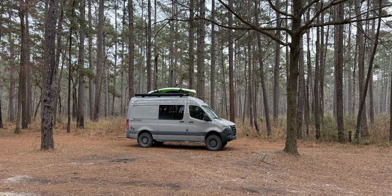 Camper submitted image from Equestrian Parking Dispersed