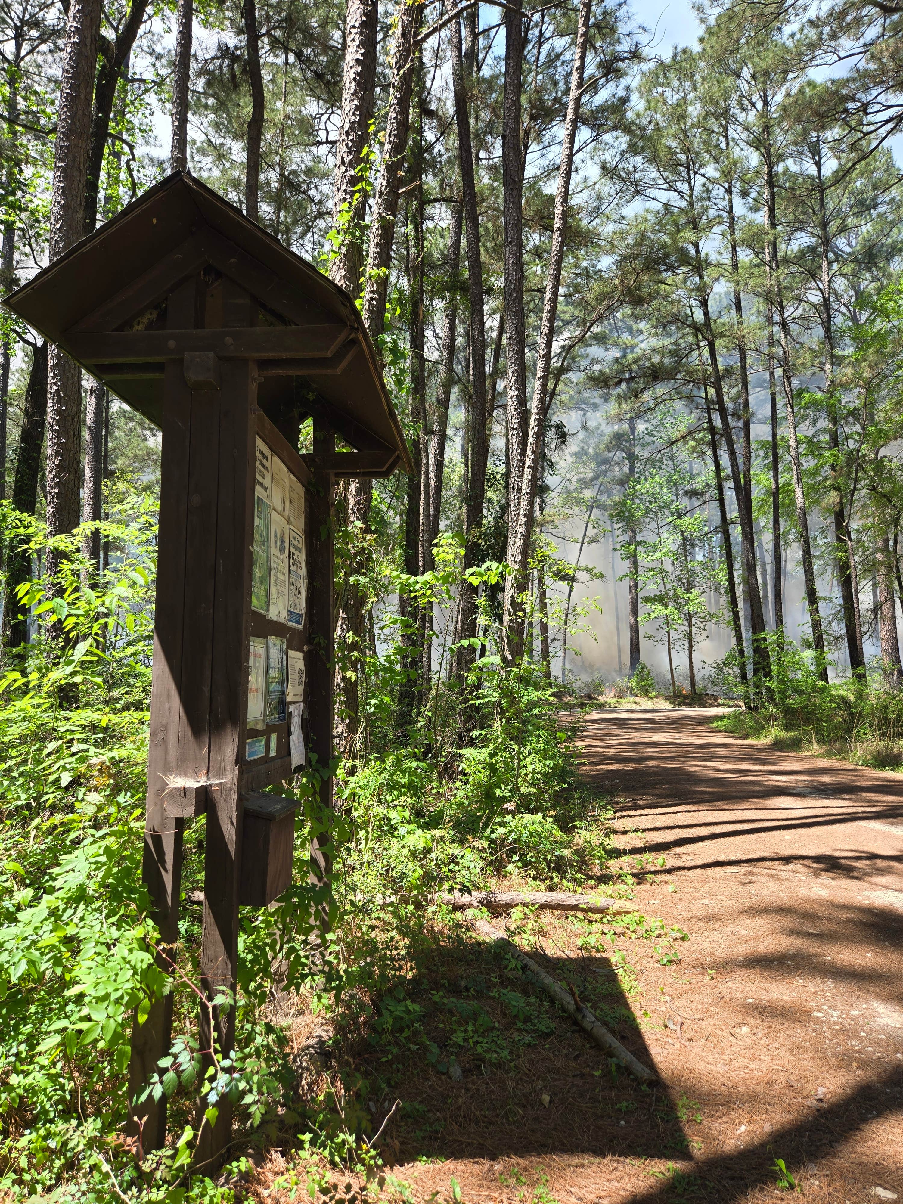 Camper-submitted photo at Equestrian Parking Dispersed near Huntsville, TX
