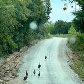 Review photo of Erbie Campground — Buffalo National River by 870VERLAND , October 16, 2024