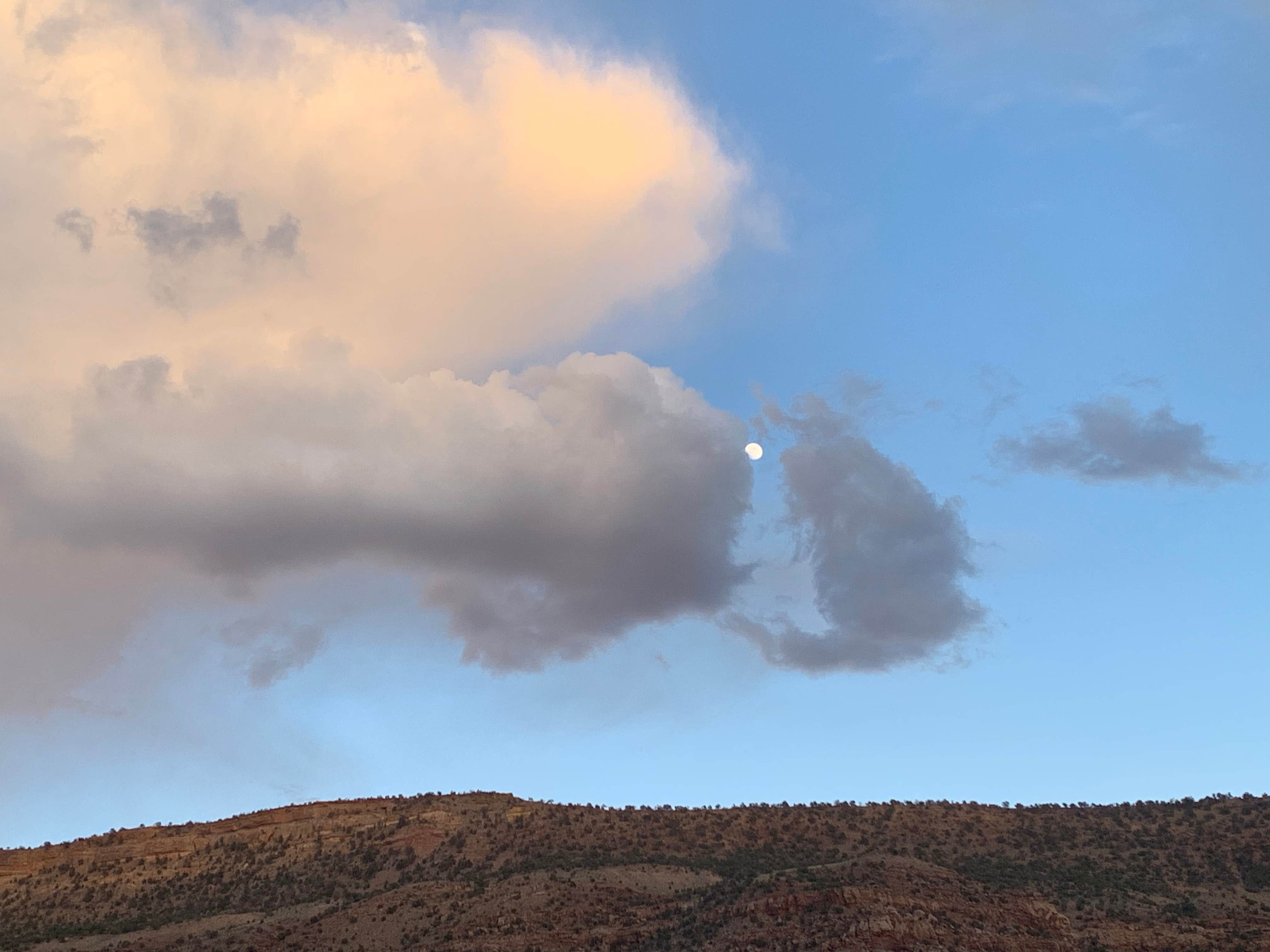 Noel C.'s photo of a dispersed camping area at Escalante Canyon Road Dispersed (650 Rd) near Clifton, CO