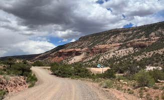 Wild Berries B.'s photo of a dispersed camping area at Escalante Canyon Road Dispersed (650 Rd) near Lazear, CO