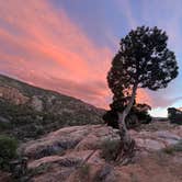 Review photo of Escalante Canyon Road Dispersed (650 Rd) by Wild Berries B., June 5, 2024