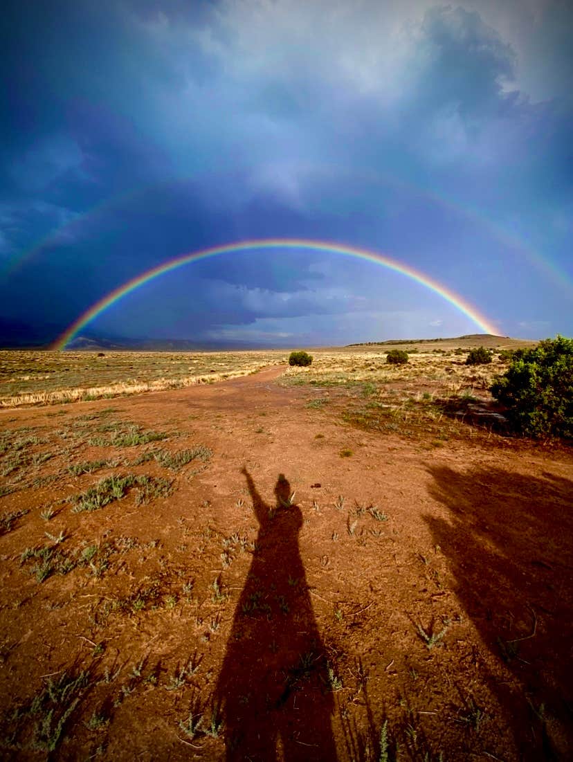 Ashley T.'s photo of a dispersed camping area at Escalante Canyon Road Dispersed (650 Rd) near Mesa Lakes, CO