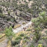 Review photo of Escalante Canyon Road Dispersed (650 Rd) by Wild Berries B., June 5, 2024