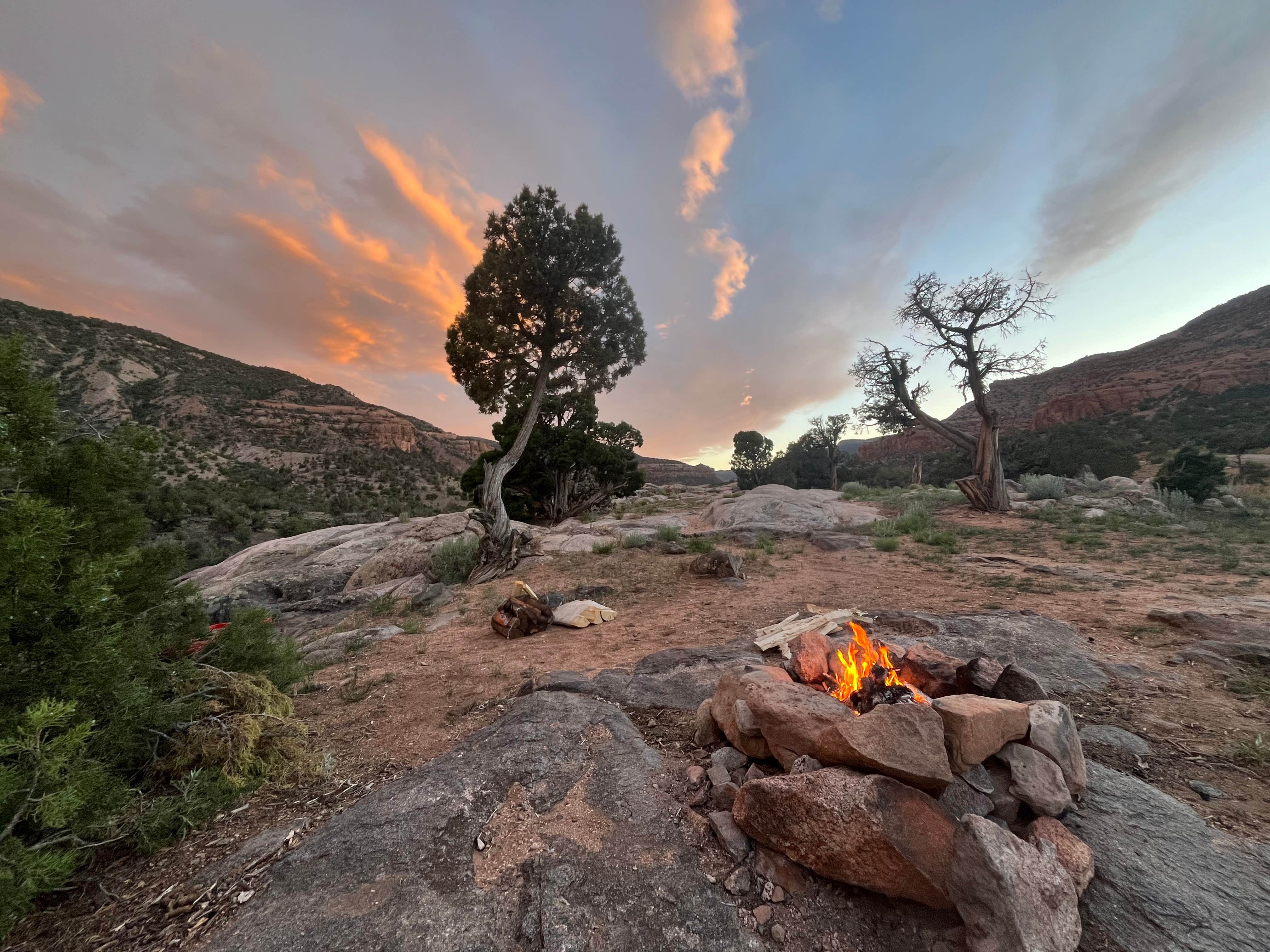 Camper submitted image from Escalante Canyon Road Dispersed (650 Rd) - 1