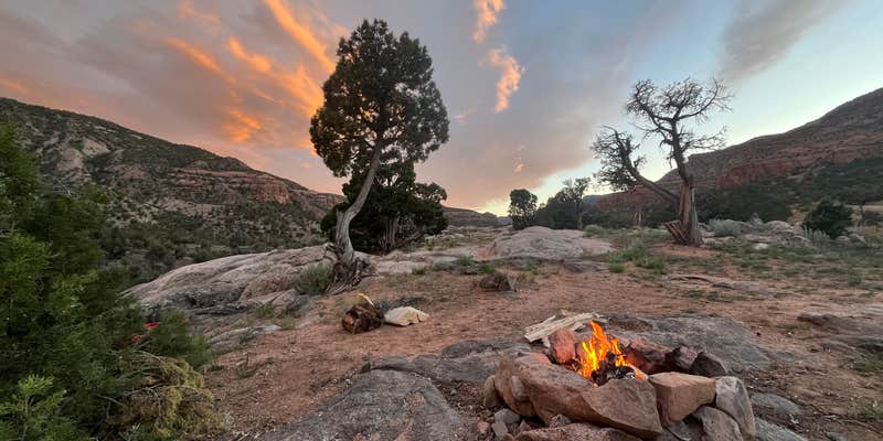 Camper submitted image from Escalante Canyon Road Dispersed (650 Rd)