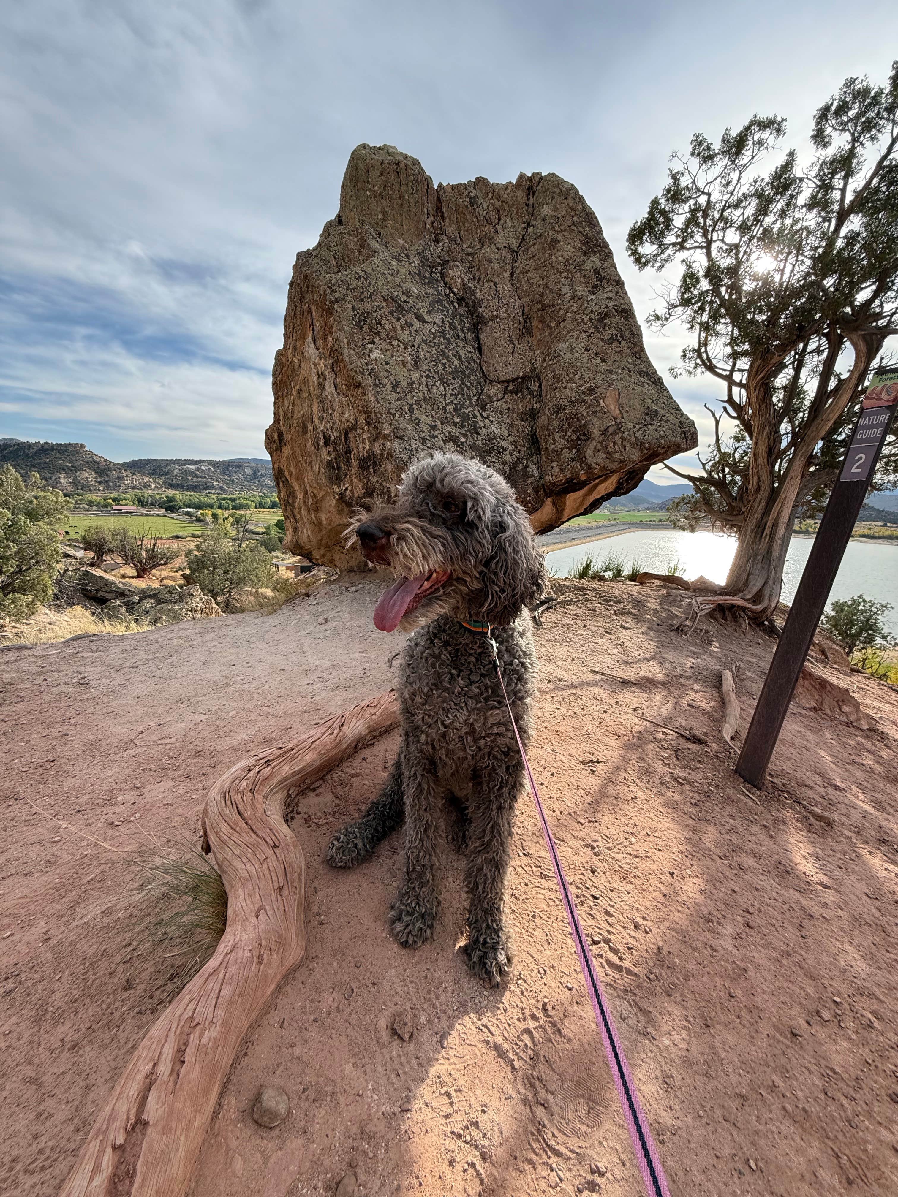 Camper-submitted photo at Wide Hollow Campground — Escalante State Park near Escalante, UT