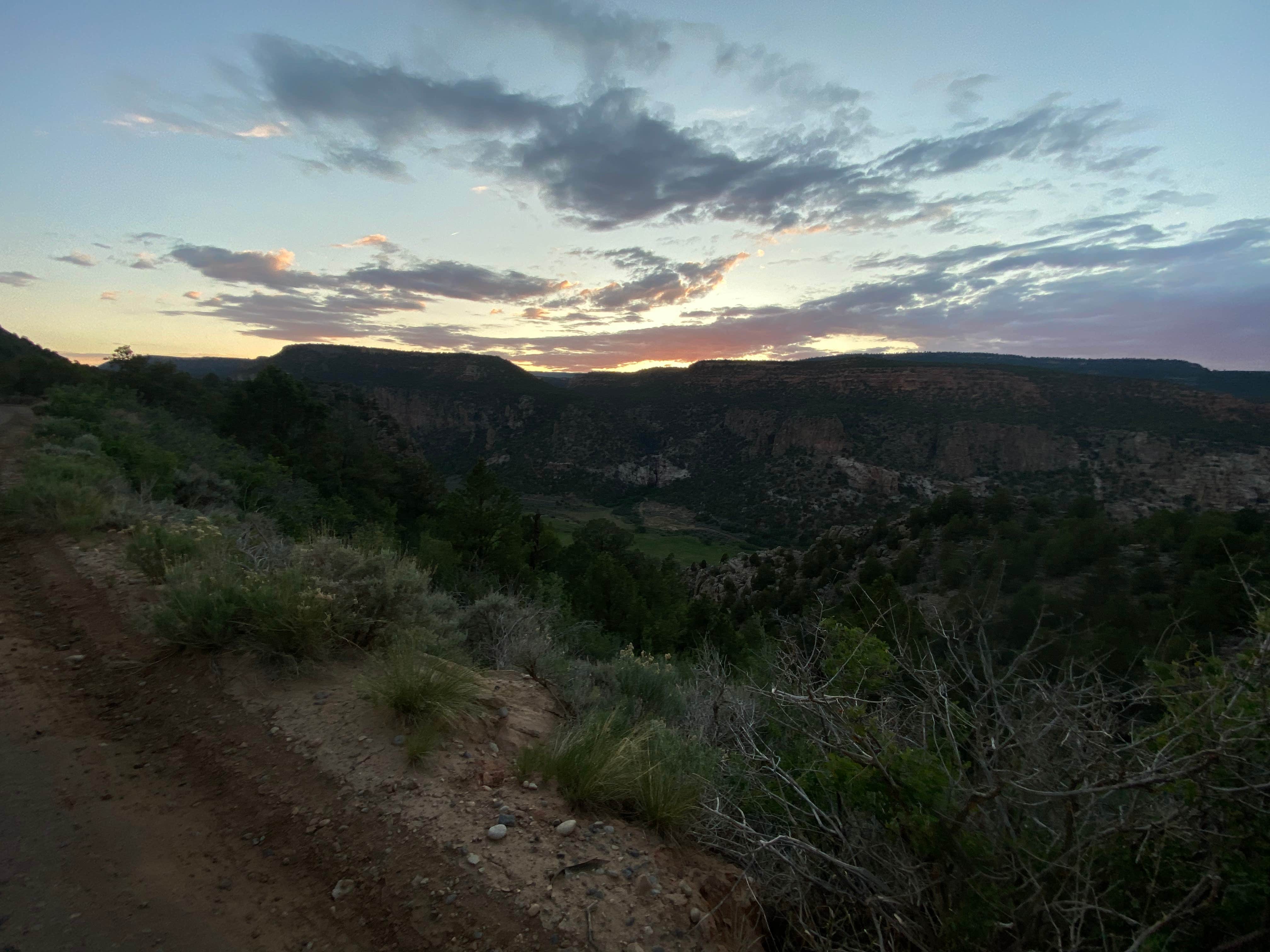 Nora S.'s photo of a dispersed camping area at escalante ridge camping near Grand Mesa, Uncompahgre and Gunnison National Forests