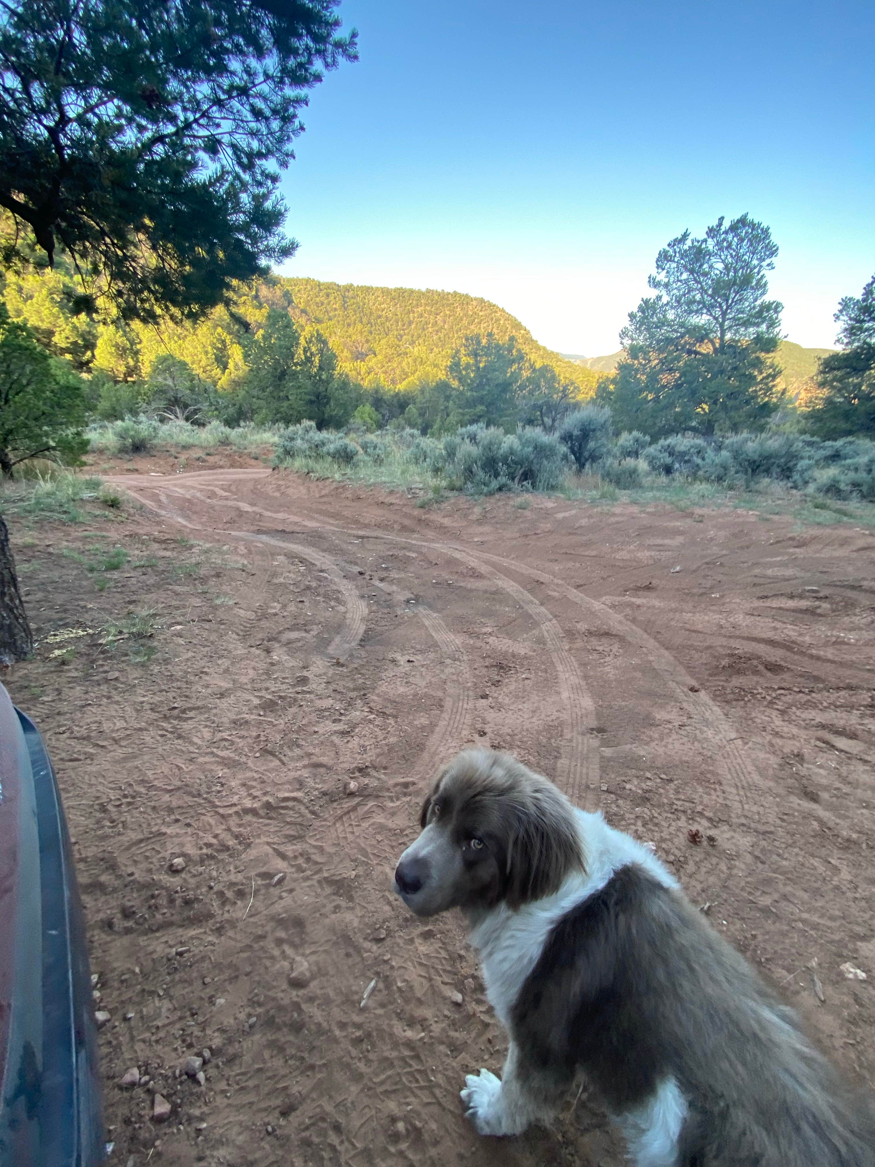 Camper submitted image from escalante ridge camping - 4