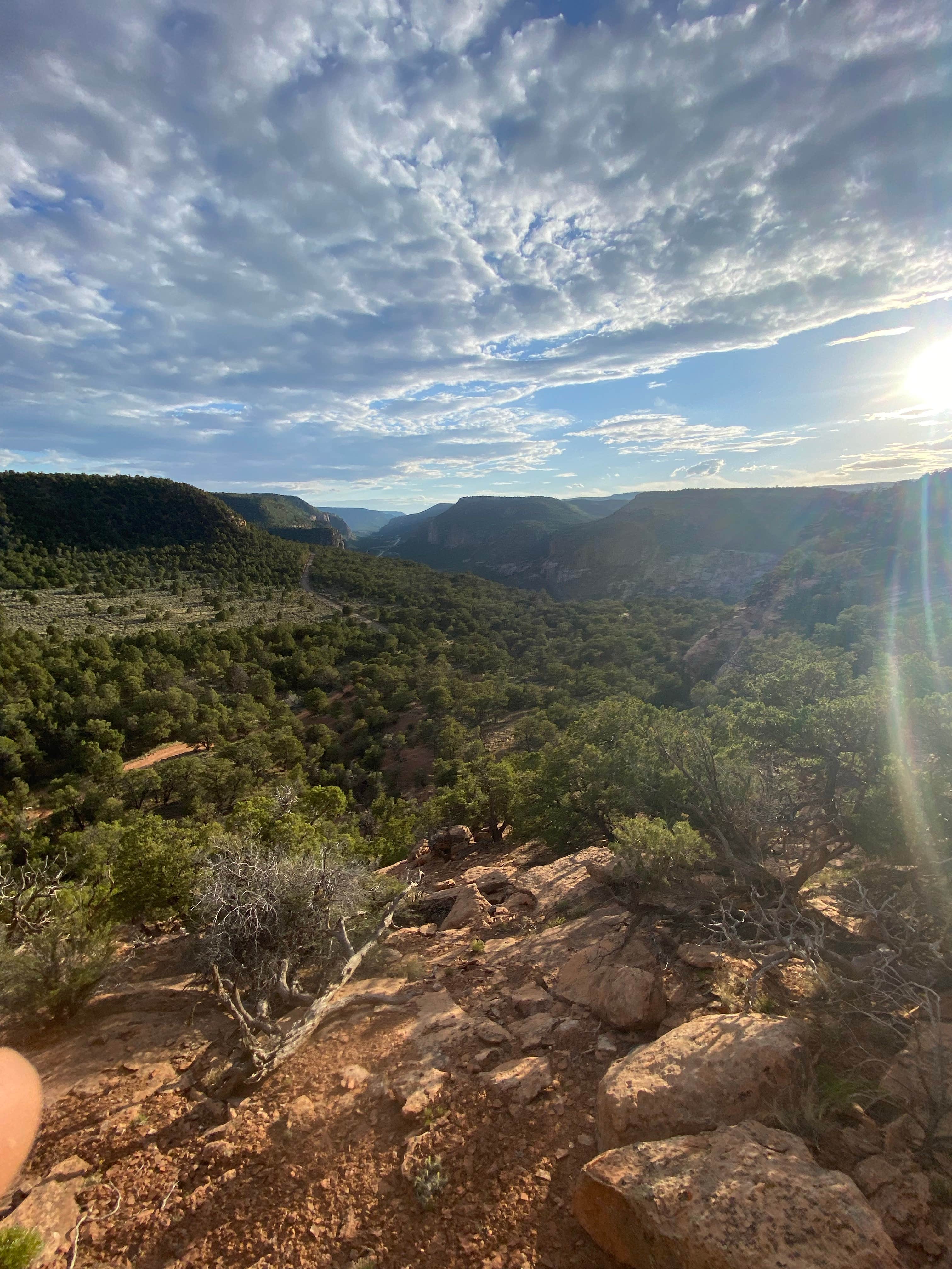 Nora S.'s photo of a dispersed camping area at escalante ridge camping near Whitewater, CO