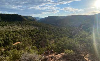 Nora S.'s photo of a dispersed camping area at escalante ridge camping near Delta, CO