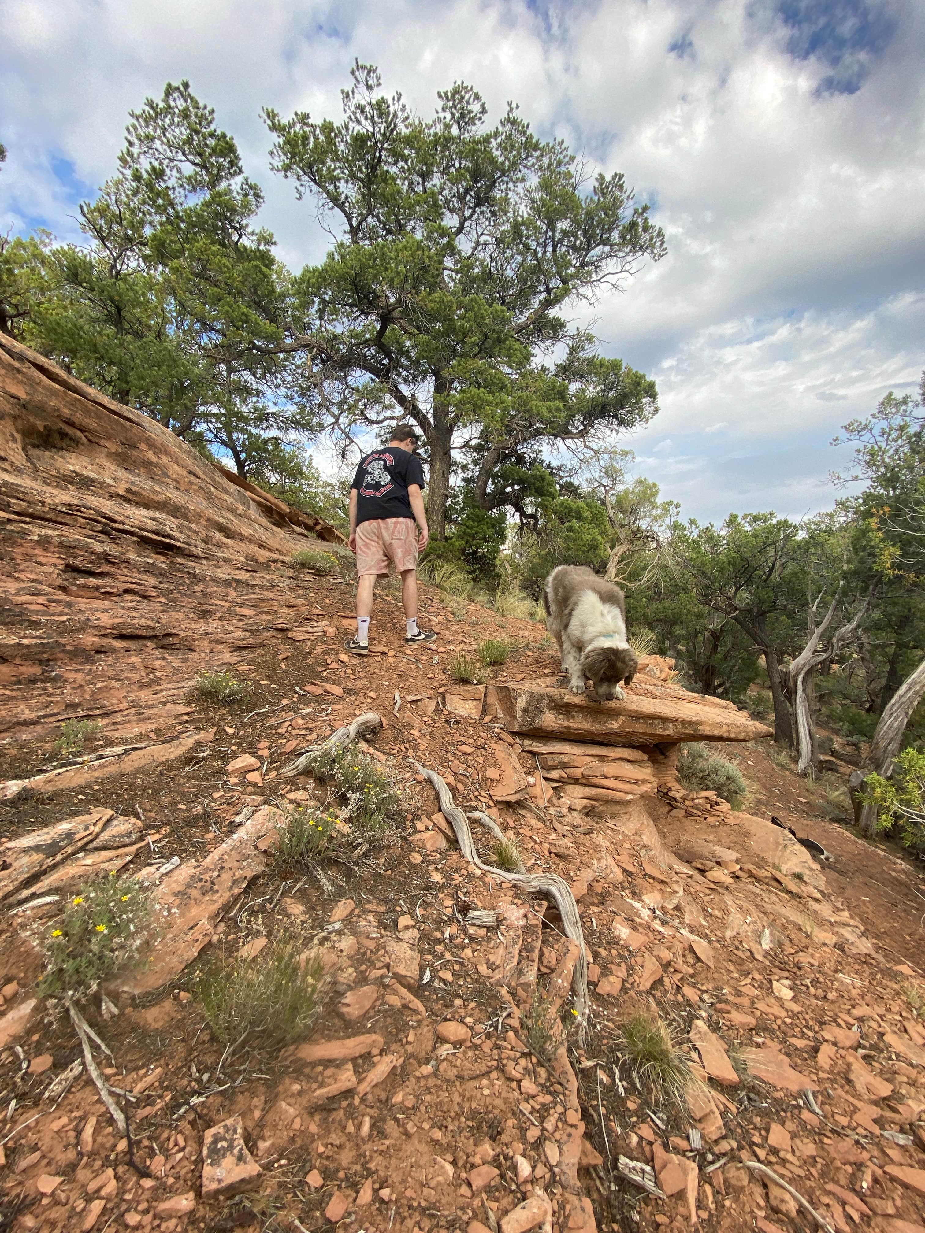 Camper submitted image from escalante ridge camping - 5
