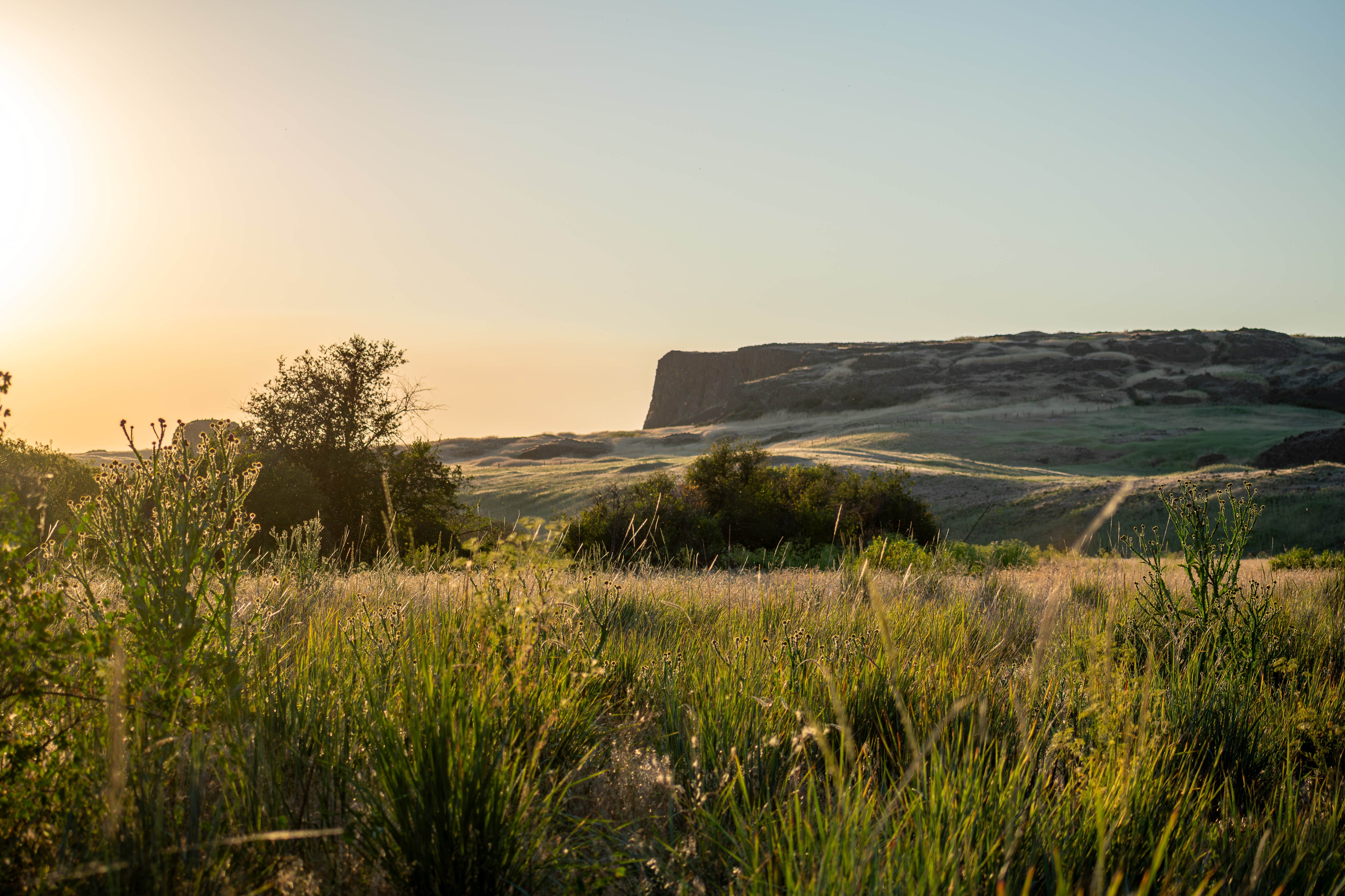 Overland S.'s photo of a dispersed camping area at Escure Ranch / Rock Creek Recreation Area near Cheney, WA